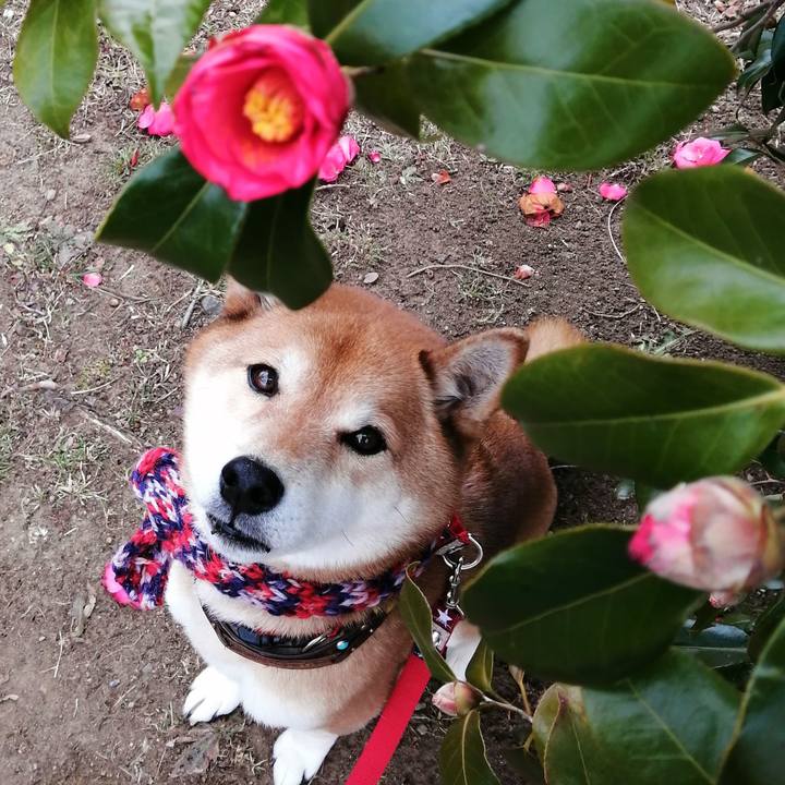 8d9c5fdd 7364 4571 896c cc9ef6df0b6e 1645252601308