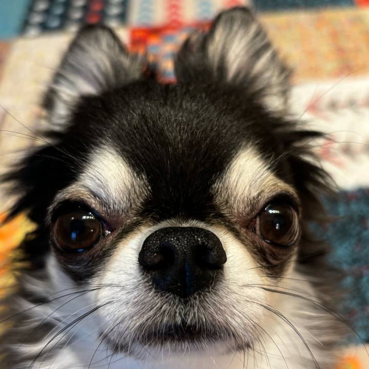 8d9c74dc 8506 44b3 86c5 26711e713135 1723763258179