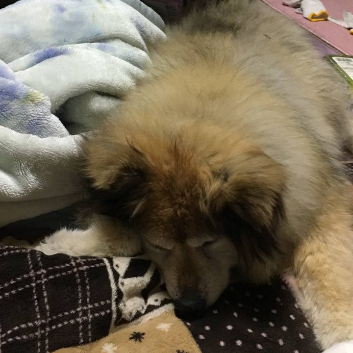 8d9c9248 b123 48b4 8c13 f993e0382a40 1568941725405