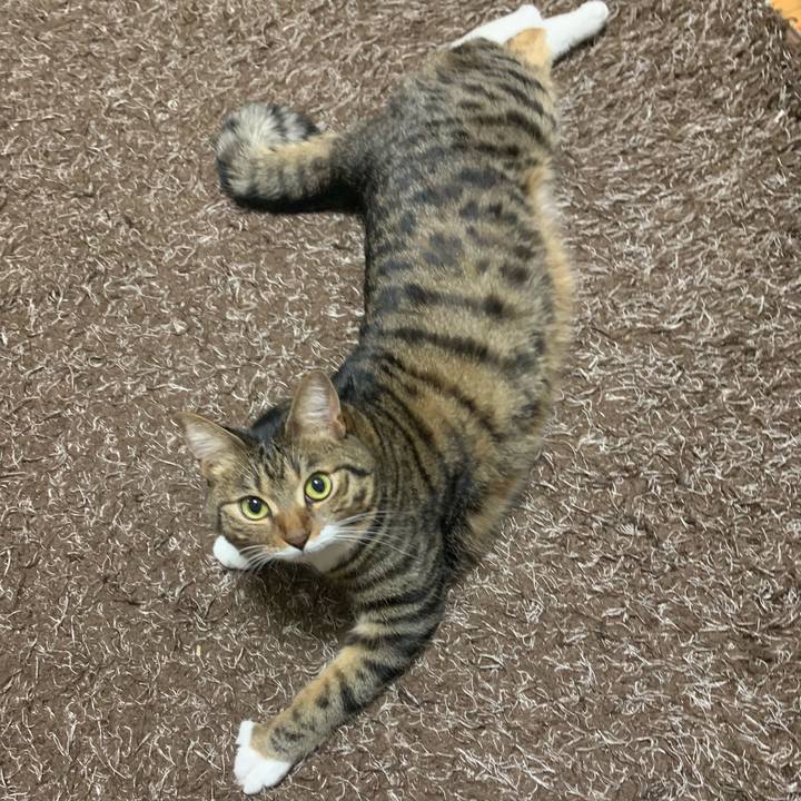 8d9cbb29 f082 4fee 8020 1cd038af6d98 1577153433676