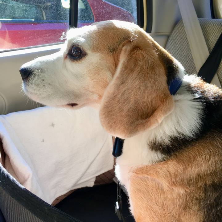 8d9cd662 af40 49f9 a223 3f0e6fbbe63e 1736813144929