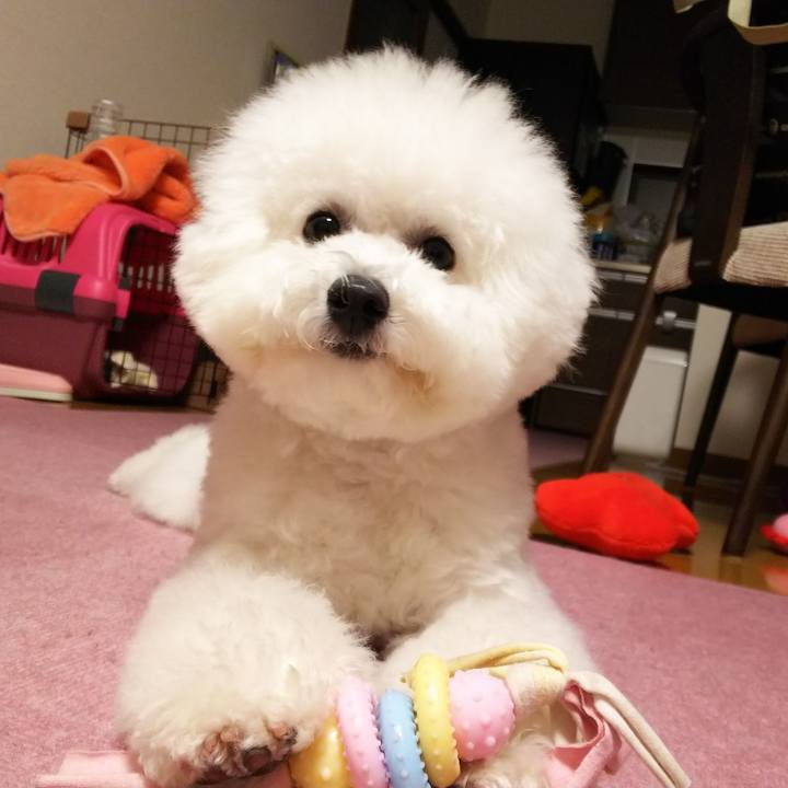 8d9cfe51 bda7 47c9 9a11 af2098595d62 1513167652041