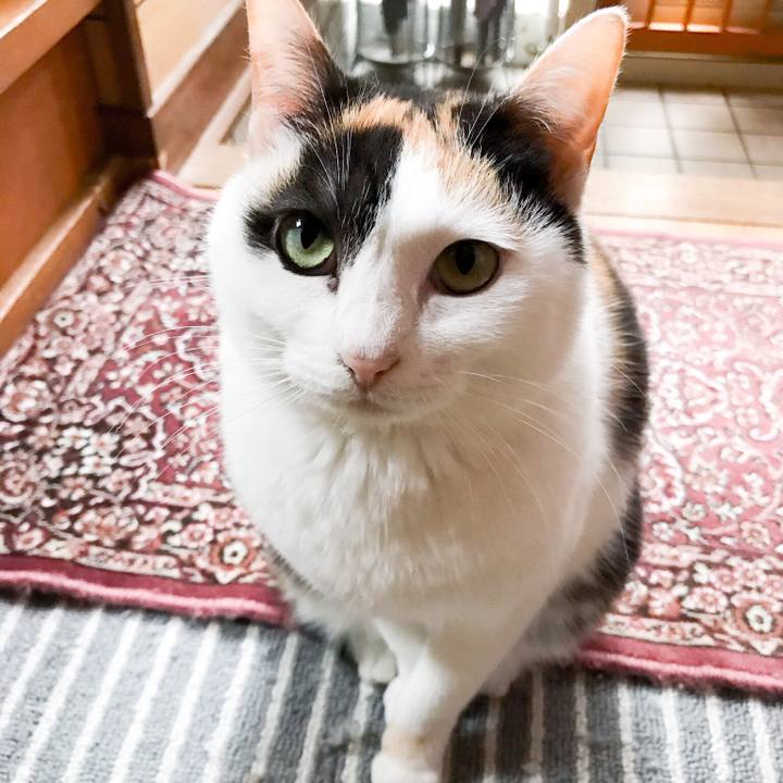 8d9d097c 3596 411f 8ede aceb3f649663 1523581058467