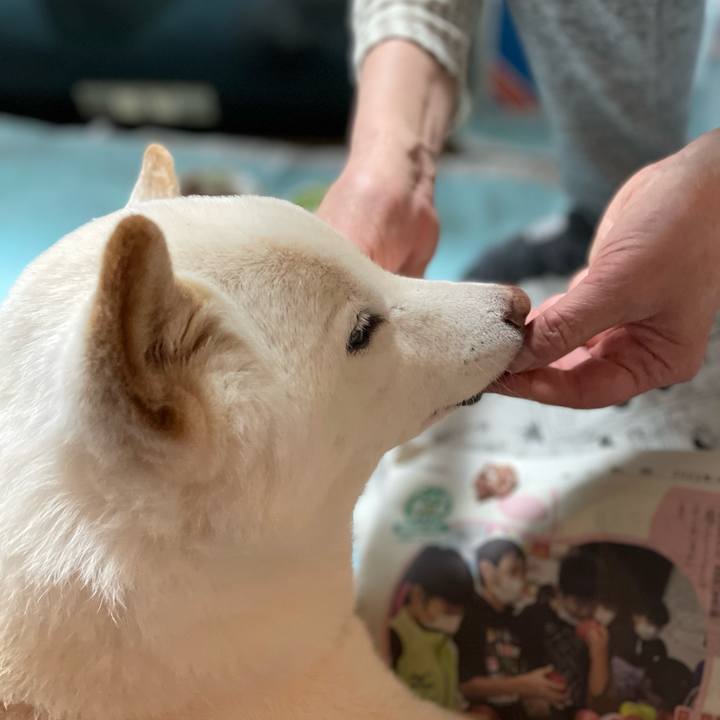 8d9d216f b03b 44d7 ac33 d8ba0149b660 1646111077541