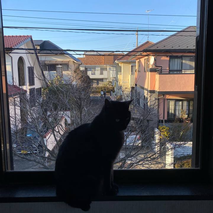 8d9d3da6 752f 450a 8d23 eb9e5f07bad9 1577783411704