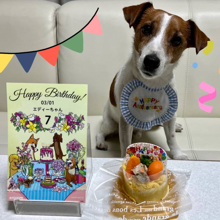 8d9d58e0 fefa 4c1f 8153 ef3ebd898416 1677661569052