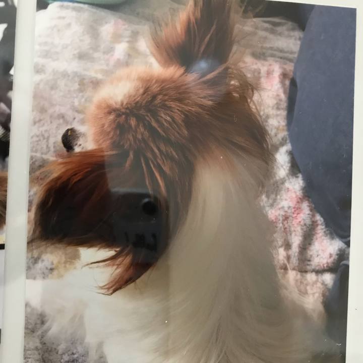 8d9d80e9 a874 4032 a56a 7f7ed965c44d 1549679349243