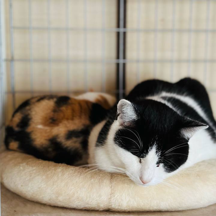 8d9db165 79d1 48d0 9a61 223148cd5946 1704936866598