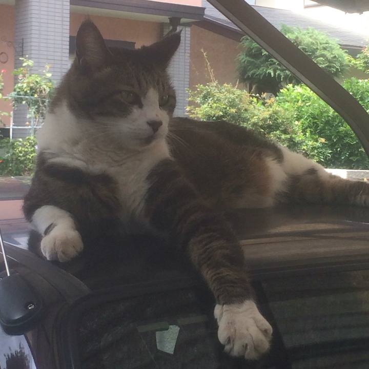 8d9dc4eb a7e0 4400 9101 332e841f8df4 1560004581074