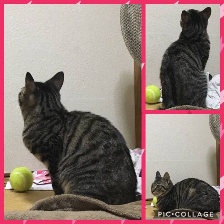 8d9e6c85 ef13 4e53 8cc8 a2d179e045d8 1541167436166