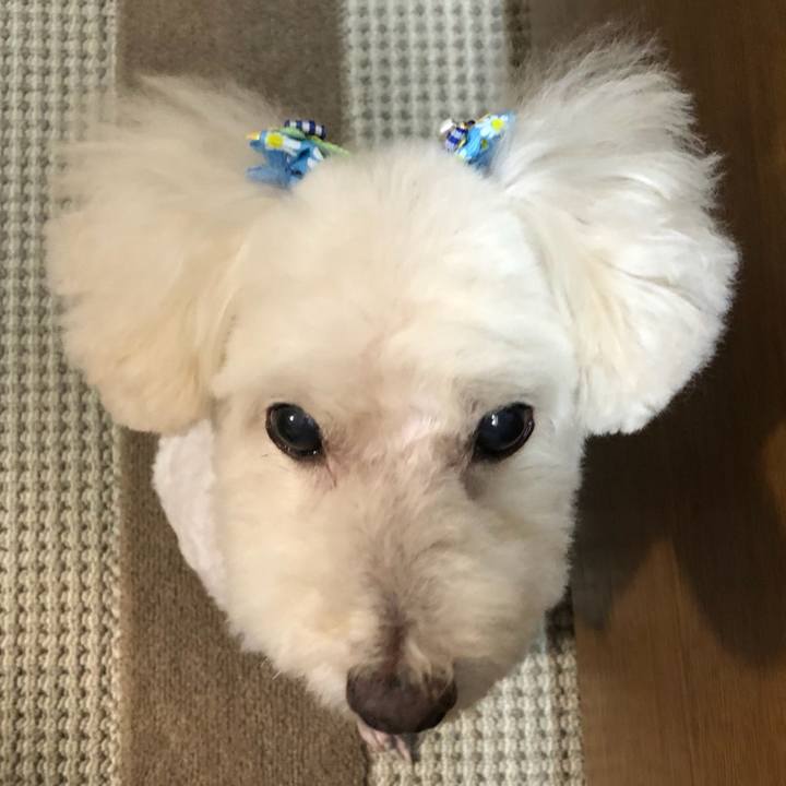 8d9e6ff6 2f27 4ad9 a0dd 93e087a265ae 1534596776544