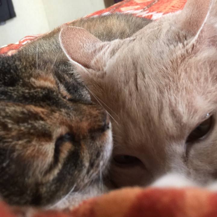 8d9e8431 0e3a 47c8 ad67 2539f747074e 1522805372701