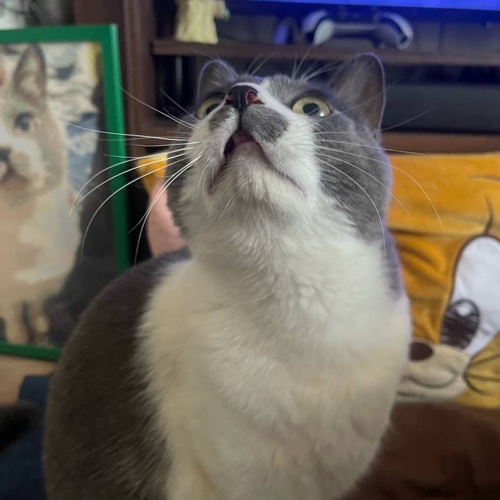 8d9e8ce6 60c2 40a5 af50 8fdcbf164392 1742456232721