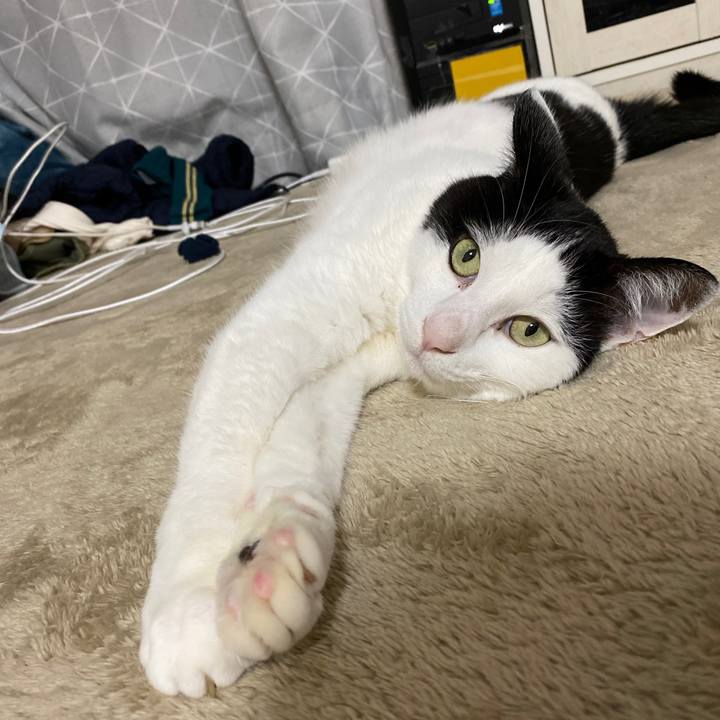 8d9eb297 38b1 4eb5 997a e5abda51e396 1675523441888