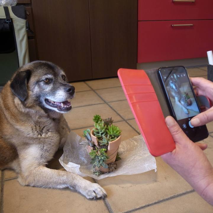 8d9ecb0e 941a 45c4 b0e7 2f9222dd3273 1610586305072