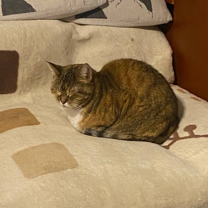 8d9edf98 251c 4530 b5be 227a4de3182f 1680538484547