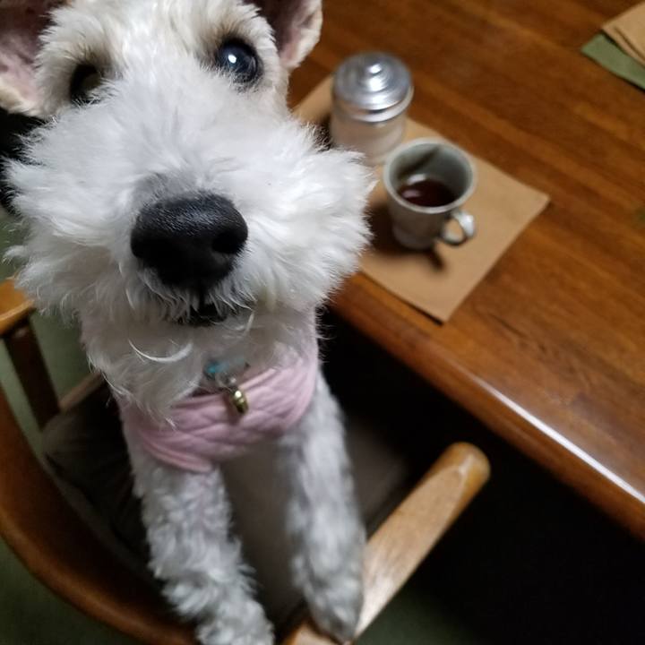 8d9f11ec 34cf 42c3 a884 de2b4dc3cba6 1541085599794