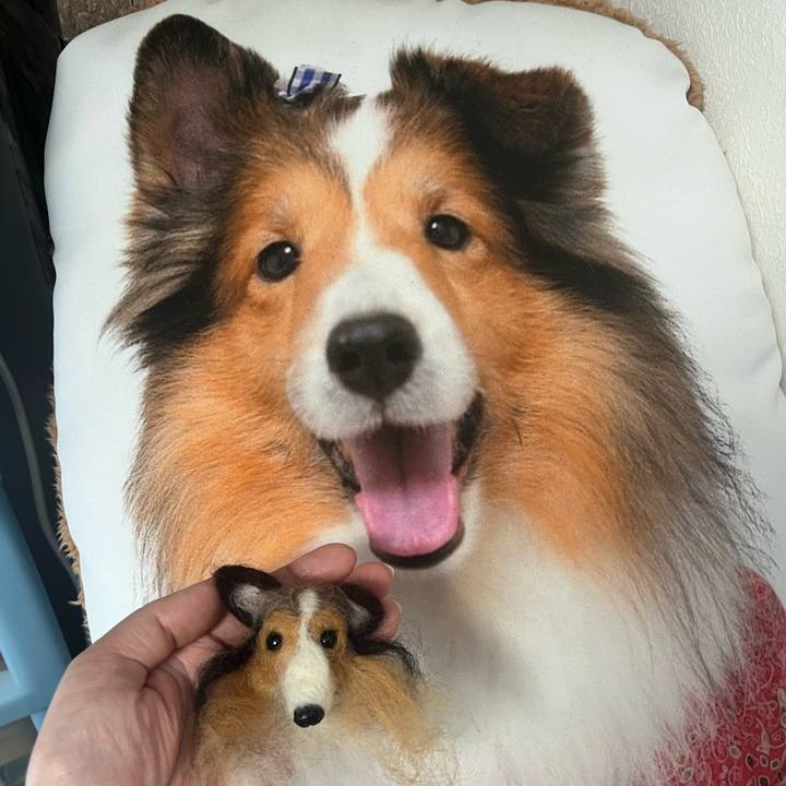 8d9f4148 6b88 47b8 babd 959af4ae6cf8 1713927999023