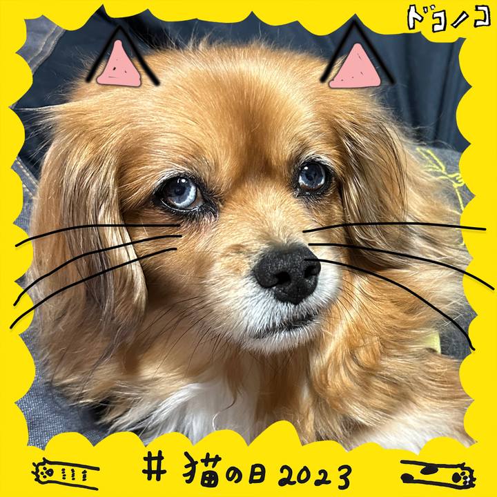 8d9f88cd 6146 49cf b546 fb2565b530fa 1677064346557