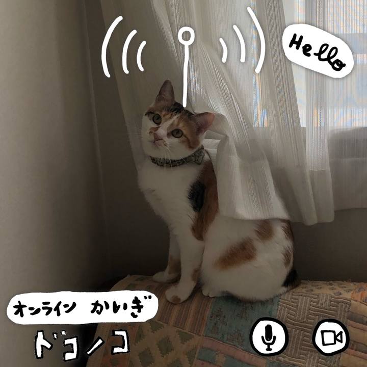 8d9fa899 e78e 4125 b168 67d1d8688b59 1593473690533