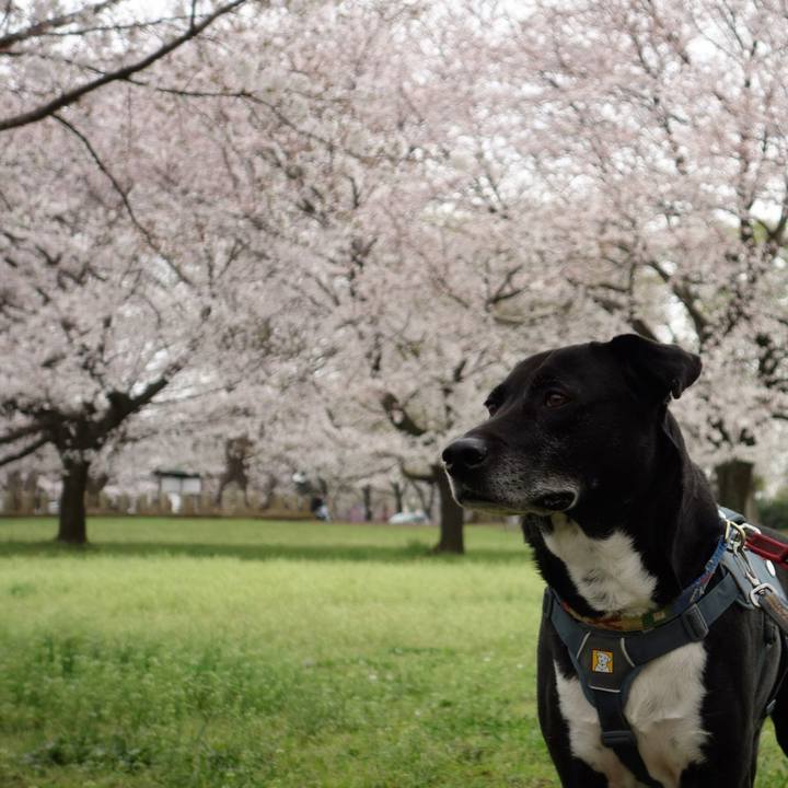 8d9fa8ec 6fca 4f00 99a4 ae63323cd724 1712367865118