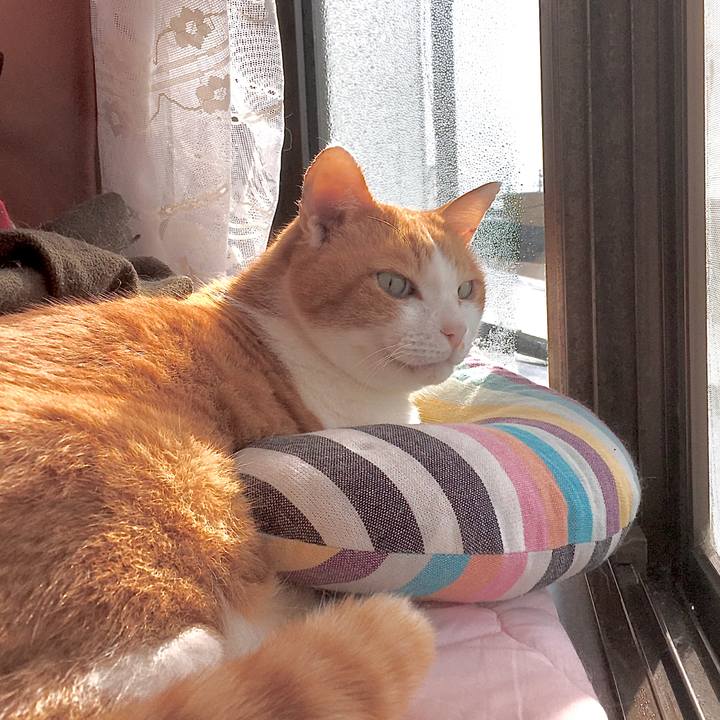 8d9fc7e5 082f 4c06 9c7c 35b5b3cb28eb 1582005462045