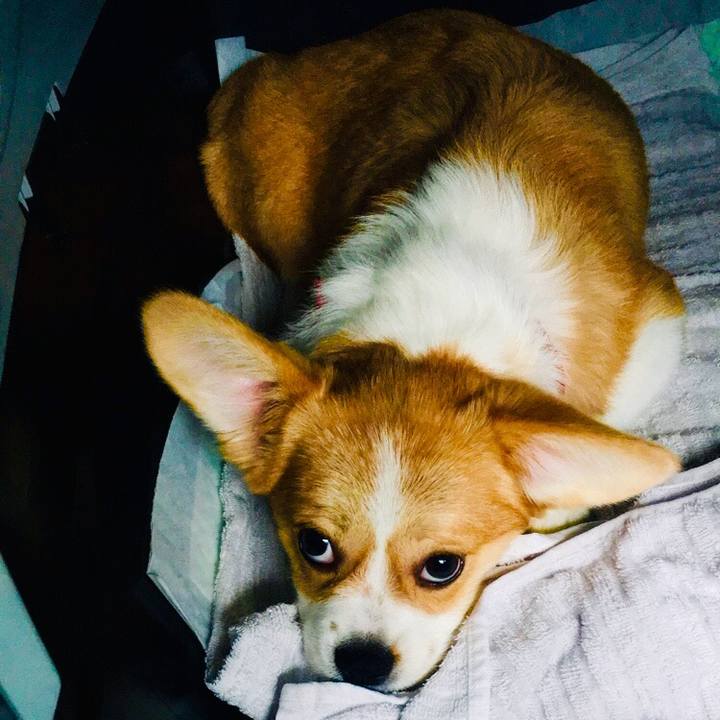 8d9ffe9a 264d 4a41 9e3a 1dcc70a41086 1560123189273