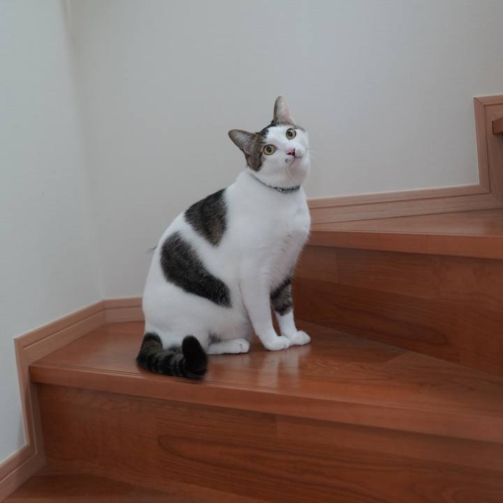 8da00abe 418c 4eac b9c6 38e36903618a 1611312104903