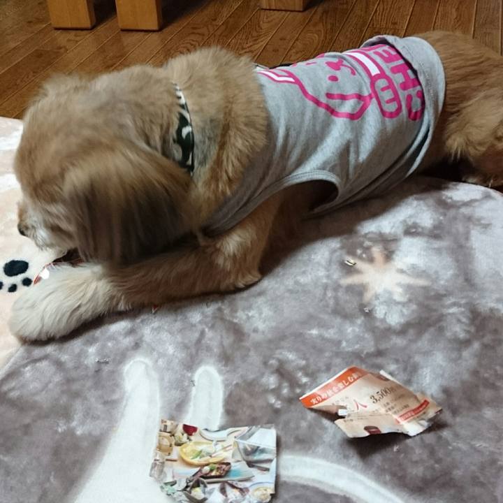 8da02ec8 b9e0 4222 83a6 8b7a9f3e8362 1511300347375