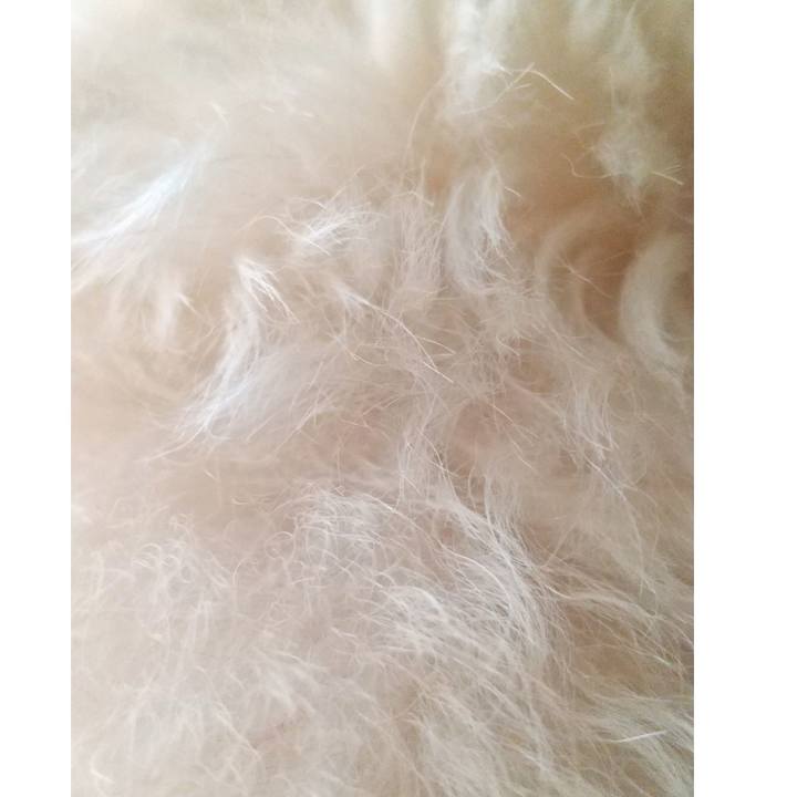 8da09100 7758 4a28 b918 6648ae3ee3ca 1662903127298