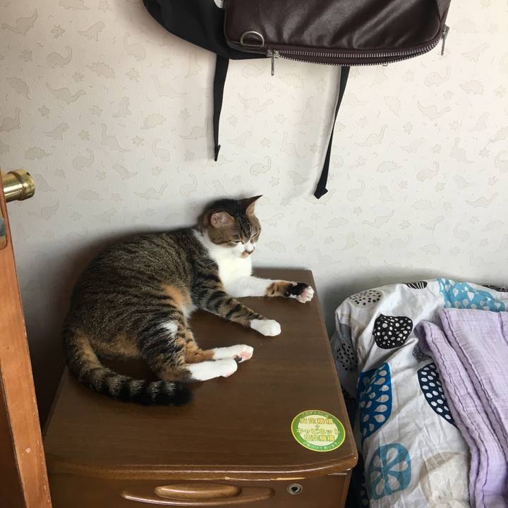 8da09467 e33a 499e 9326 9dc49cfd7fd4 1526451839686