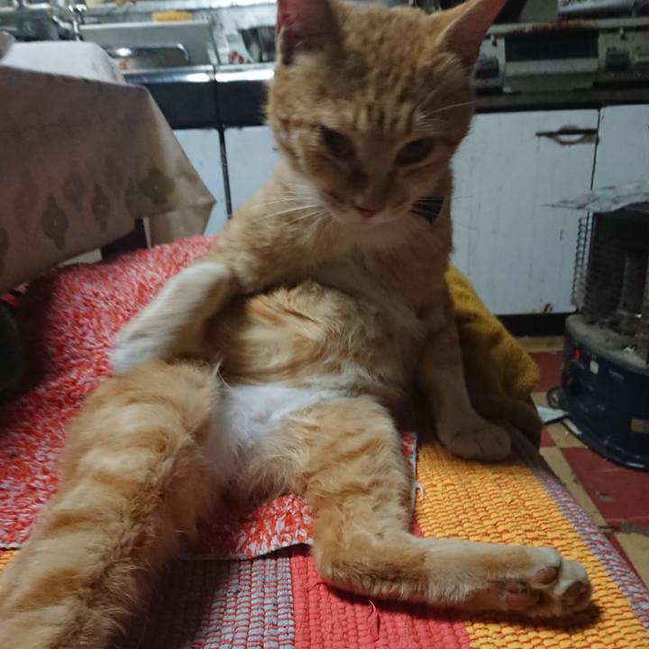 8da13613 1739 47d1 98de 15662d0c2135 1558354696263