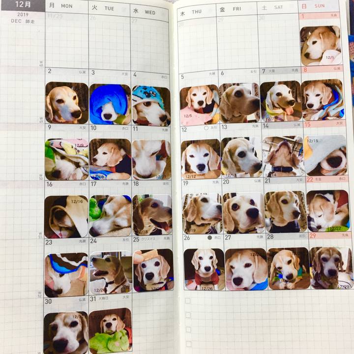 8da136a8 3e20 40af 969d 91c028216077 1578407257758