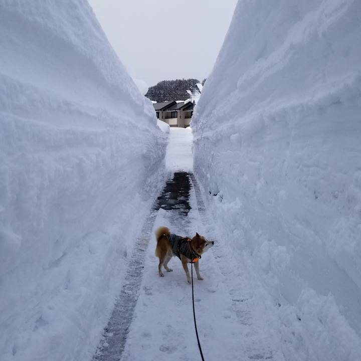 8da14530 1088 4d12 94d8 2c2901d998a9 1644225005866