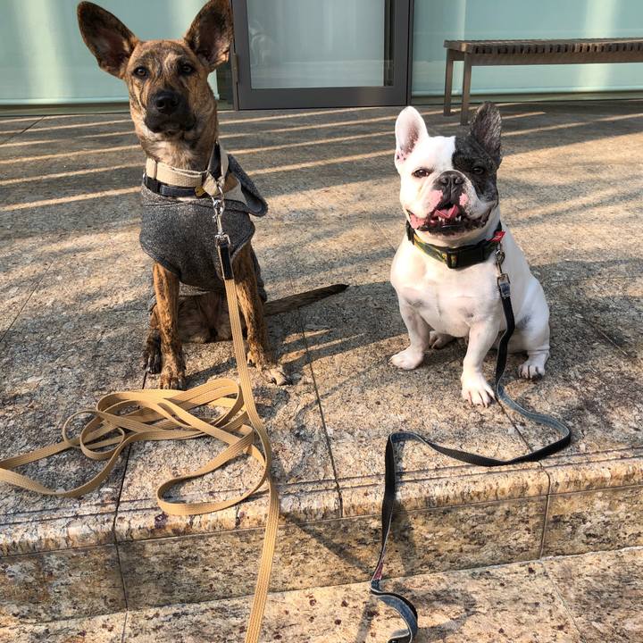 8da15266 a262 4778 9c1f ef0d5f7dfdce 1576576542129