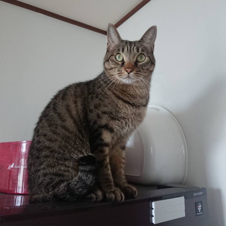 8da1bfa9 fd95 4369 b7f9 b3eaae870b31 1540605590522