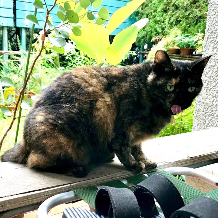 8da1dae7 a786 4a0c b61f 7cea723b6965 1530878373350