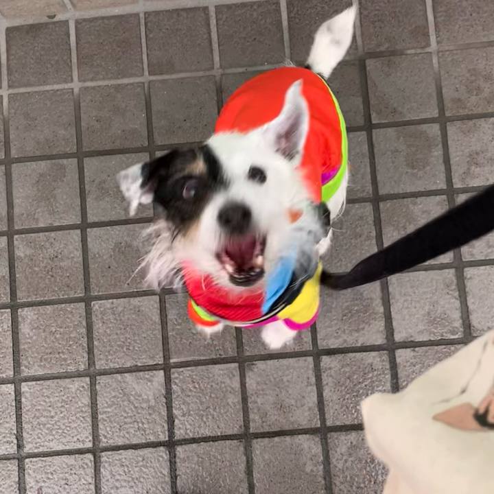 8da1f0bc 9752 4f33 98d7 b67ab7d27859 1711442136890