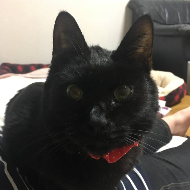 8da1f276 0403 4b35 9dae 8138ad17a8d5 1553081019932