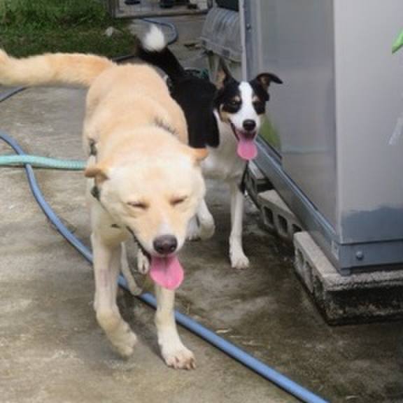 8da1f86e 40ef 4b3c 9978 d86cc50901e7 1574753002123