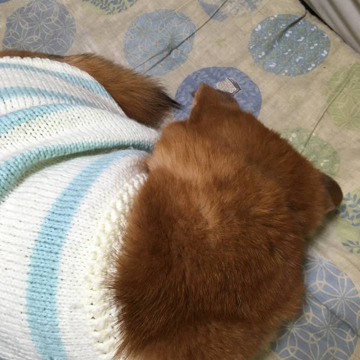 8da207a5 0706 46e9 a0b4 475da8e1a05c 1514370997168