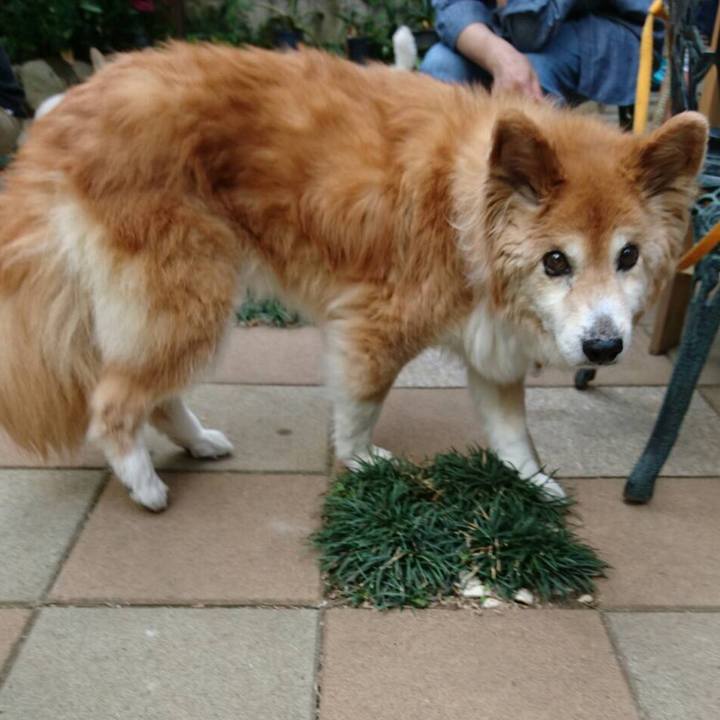 8da21d83 4fb2 417c b45c ecff735bf025 1541579533602