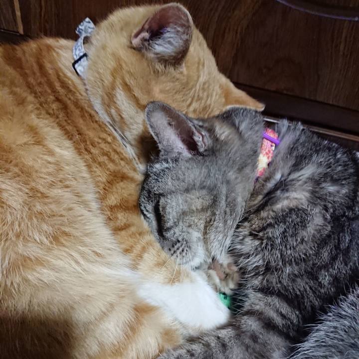 8da26654 93fa 447b 8dbe db85b3e036c4 1587128851629