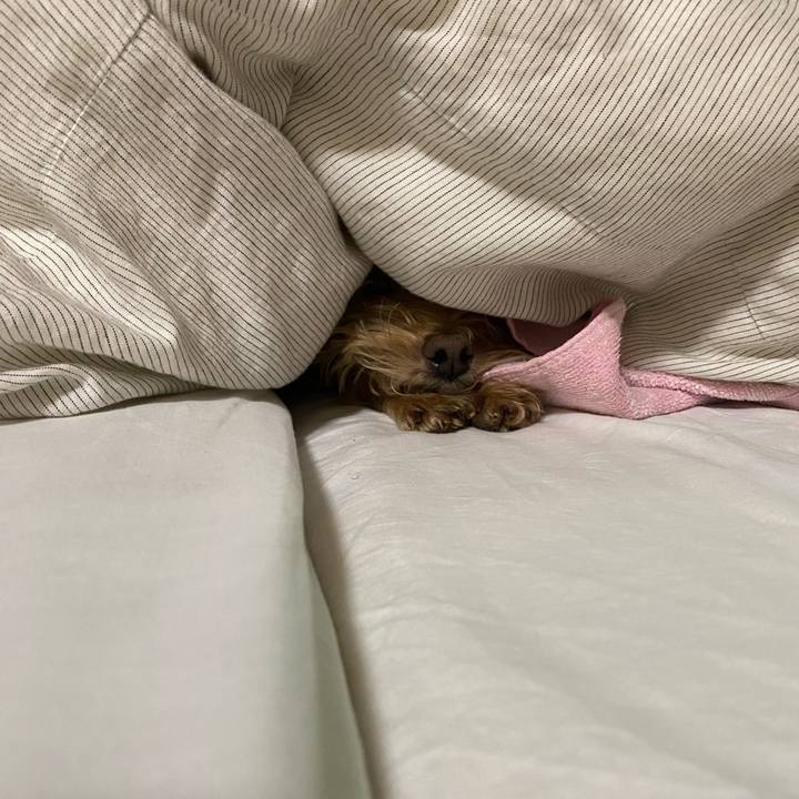 8da2b45b 32ff 425e 9e28 10a951de302f 1699996284013