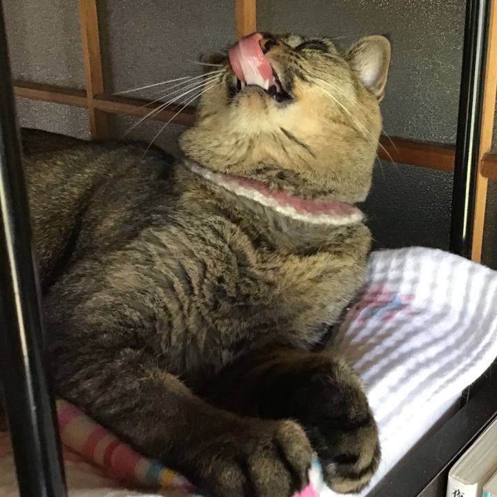 8da2b90b 7262 47c1 8fda 557e69573b7b 1663315840245