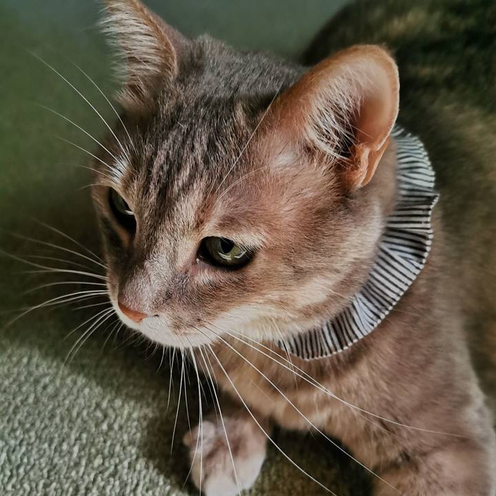 8da2e2e7 5ffb 4362 a4dc 06b71682ee73 1681965645105