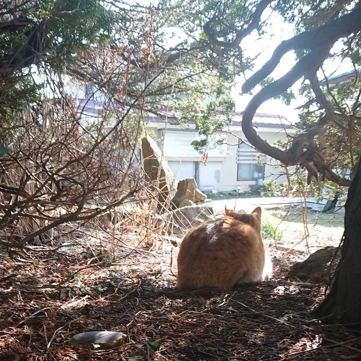 8da2fa60 5292 4118 9c68 1909952bca9d 1583563306438