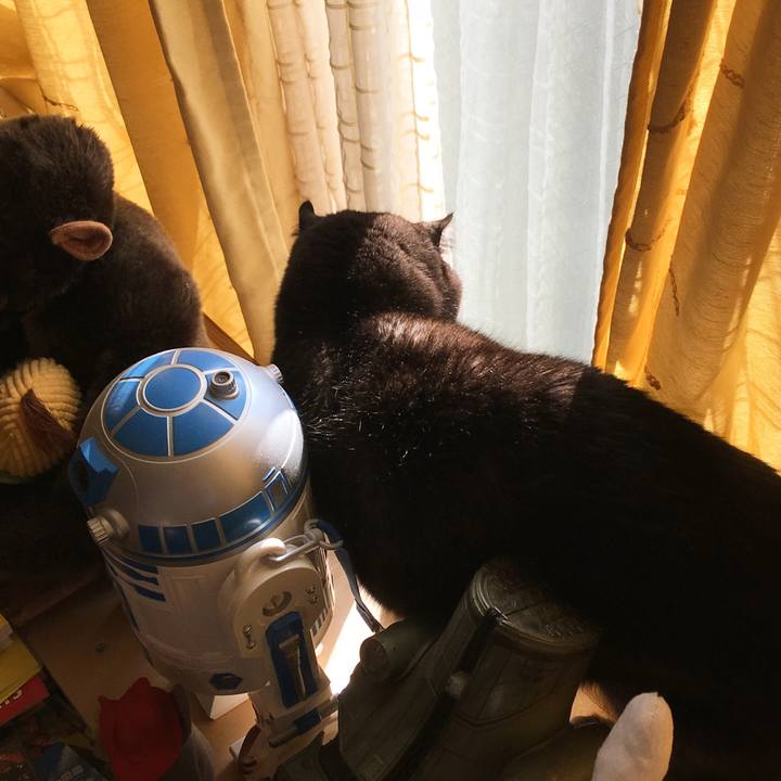 8da307c4 dcc7 450a 81f3 9735f49e01cc 1514431290711