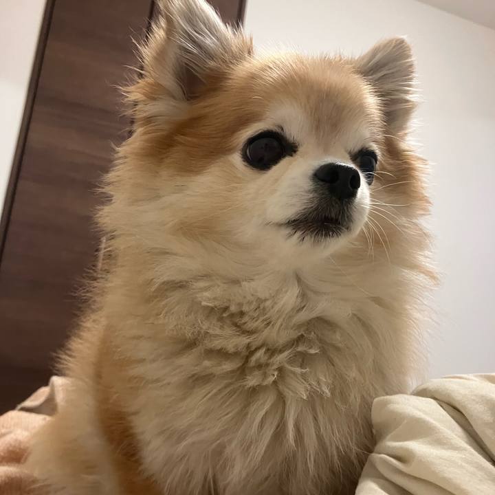 8da323f3 9205 4354 9a43 41553e35f7ae 1765369358744