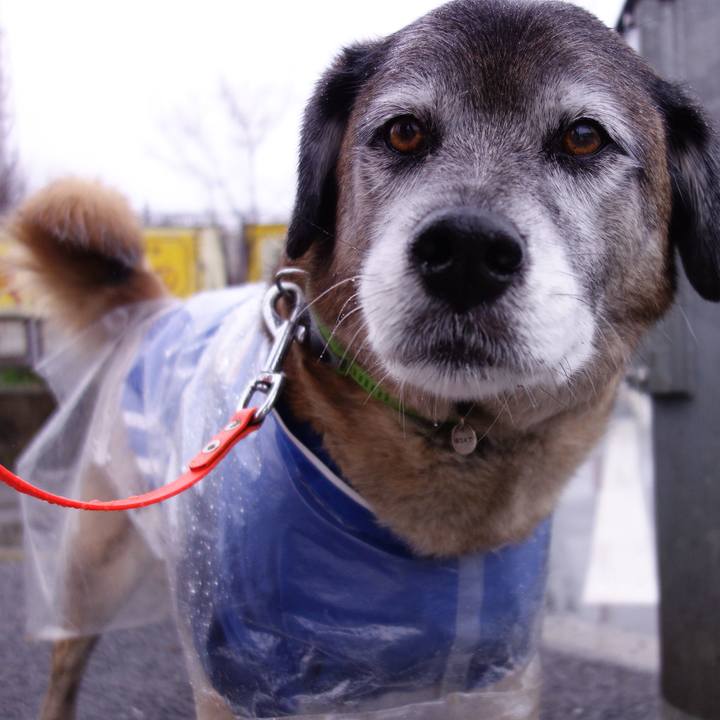 8da32eb2 e8b8 4b3d 8f39 4501aea77a55 1660004783390